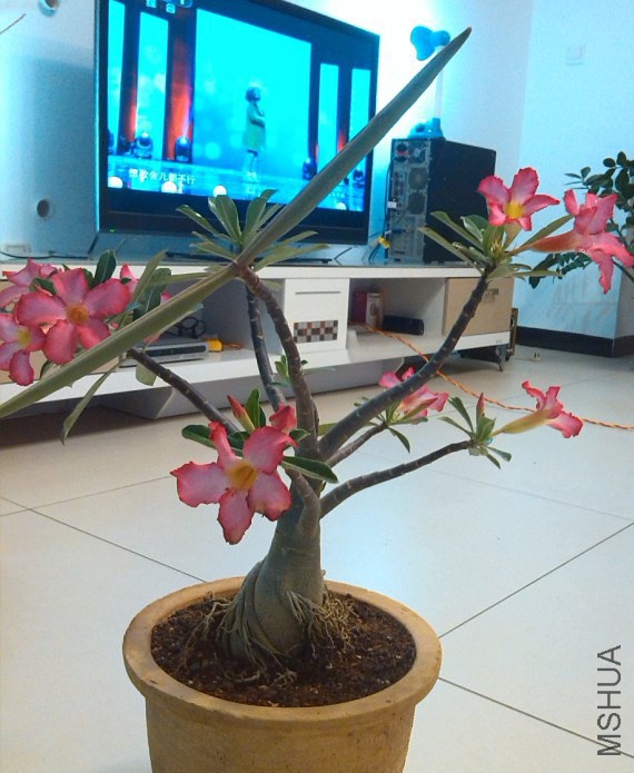QQ��ͼ20140323221559.jpg