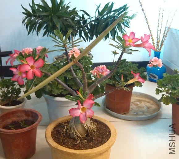 QQ��ͼ20140323221617.jpg