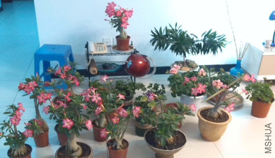 QQ��ͼ20140323221630.jpg