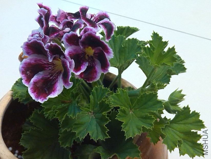 QQ��ͼ20140323221646.jpg