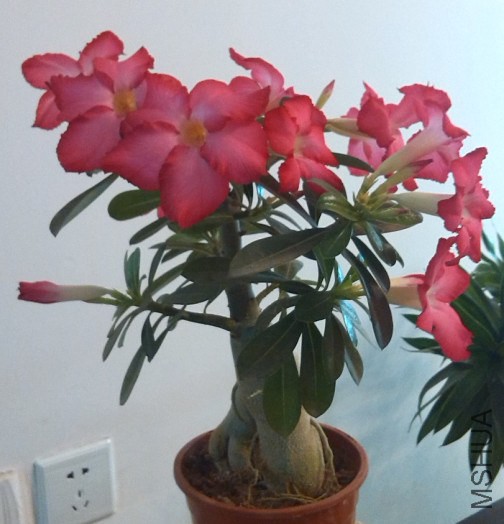 QQ��ͼ20140323221812.jpg