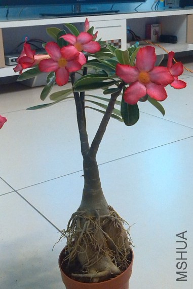 QQ��ͼ20140323221827.jpg