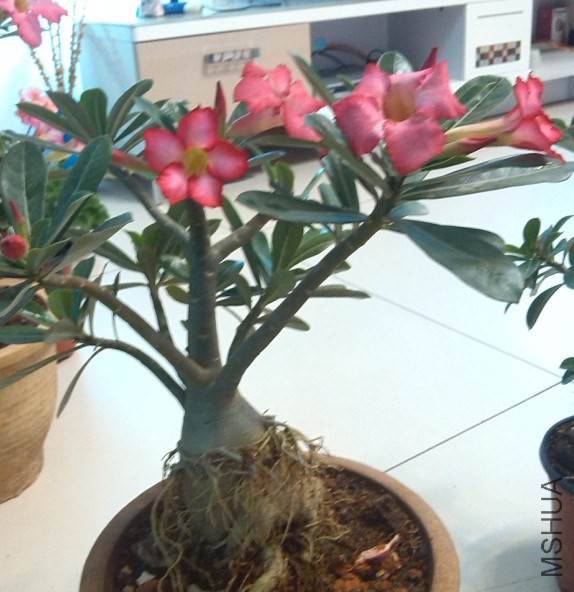 QQ��ͼ20140323221841.jpg