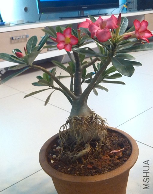 QQ��ͼ20140323221855.jpg