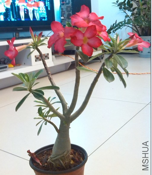QQ��ͼ20140323221911.jpg