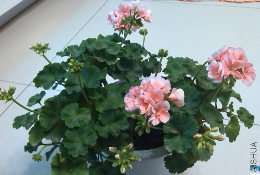QQ��ͼ20140323221934.jpg