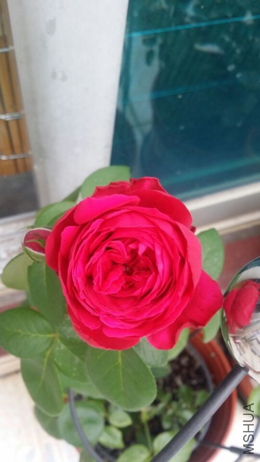 QQͼƬ20140812084715.jpg
