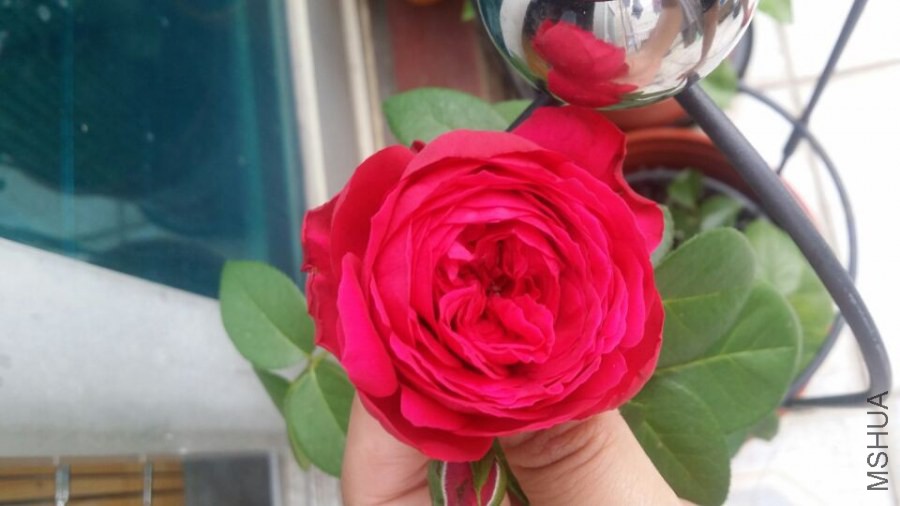 QQͼƬ20140812084721.jpg