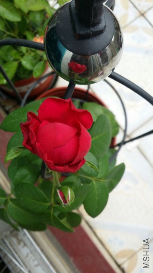 QQͼƬ20140812090159.jpg