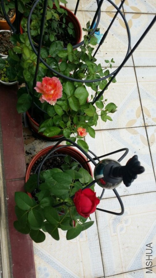 QQͼƬ20140812090154.jpg