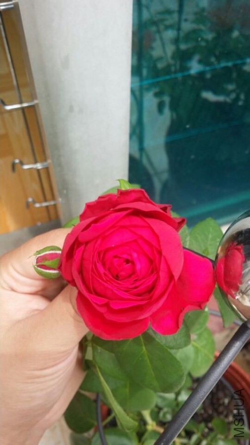 QQͼƬ20140812090133.jpg