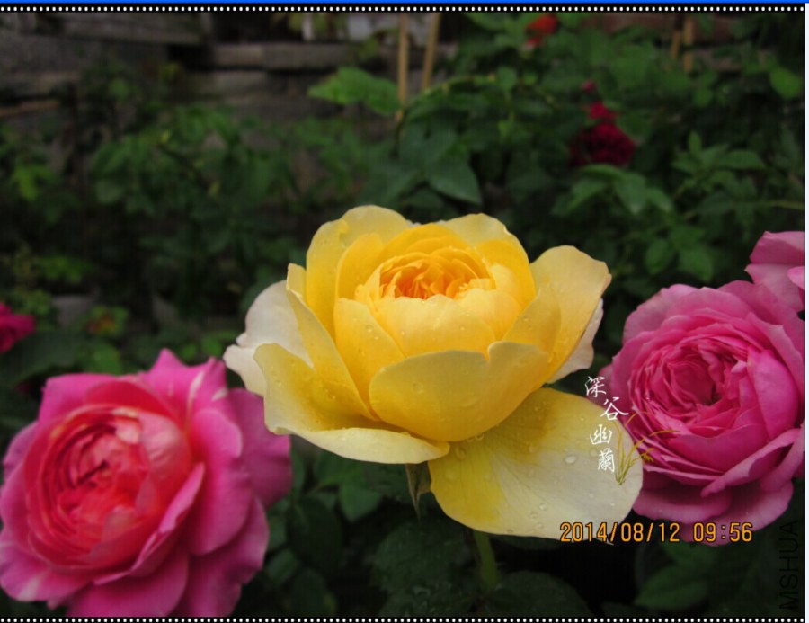 QQͼƬ20080806143543.jpg