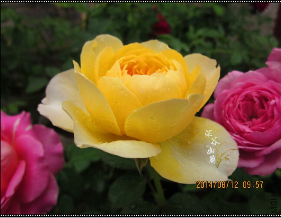 QQͼƬ20080806143549.jpg