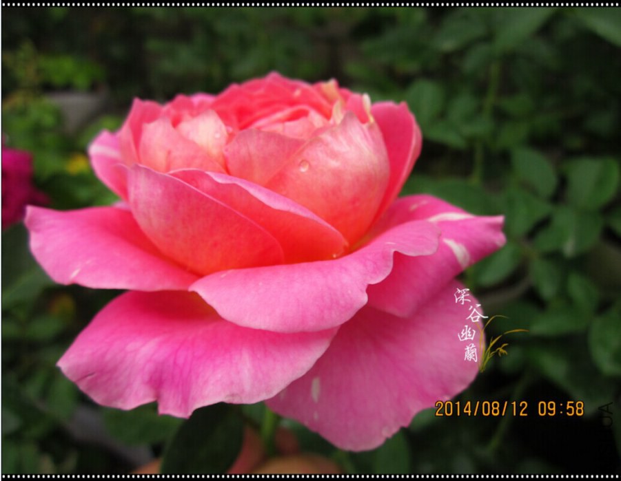 QQͼƬ20080806143552.jpg