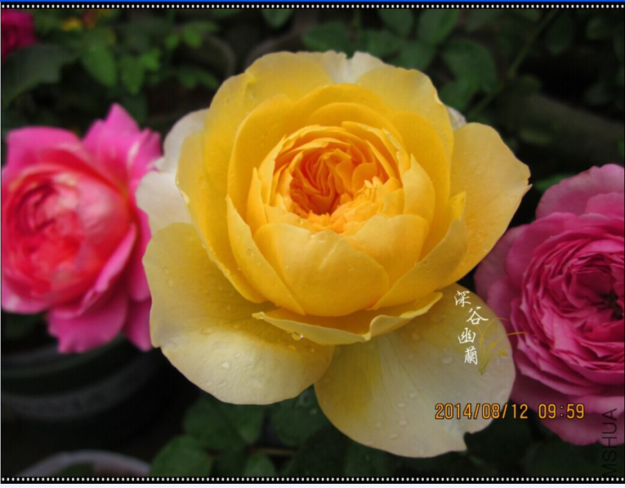 QQͼƬ20080806143600.jpg