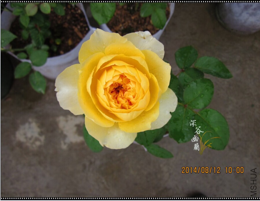 QQͼƬ20080806143609.jpg