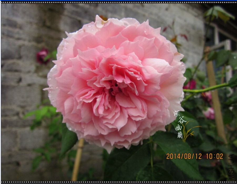 QQͼƬ20080806143614.jpg