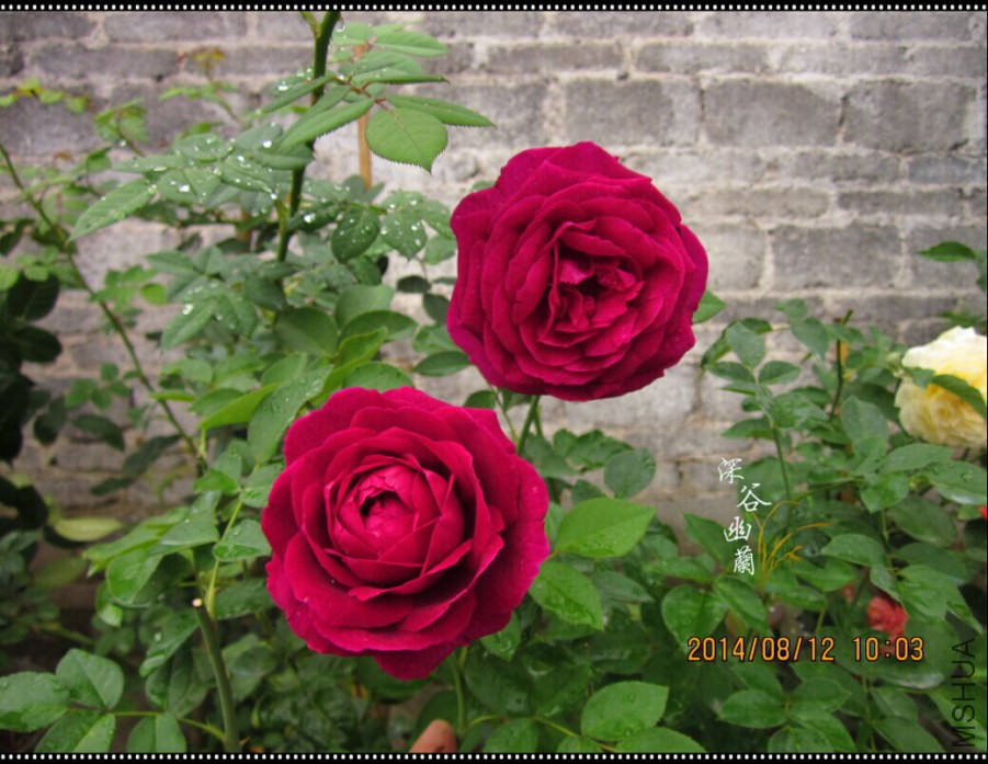 QQͼƬ20080806143625.jpg