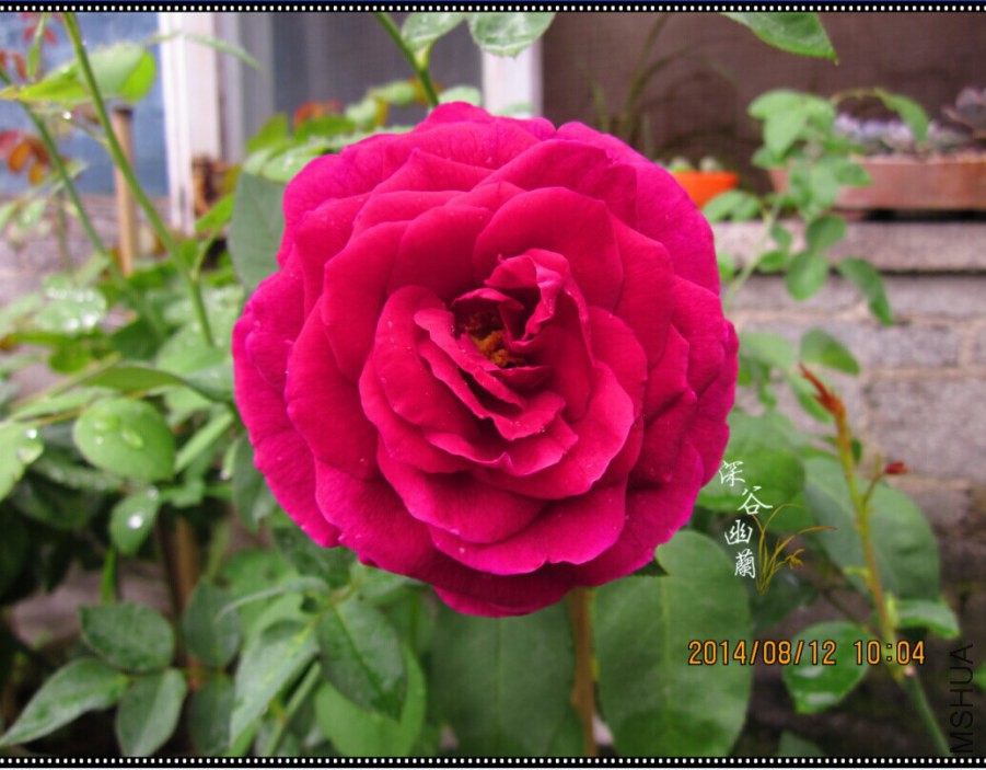 QQͼƬ20080806143629.jpg