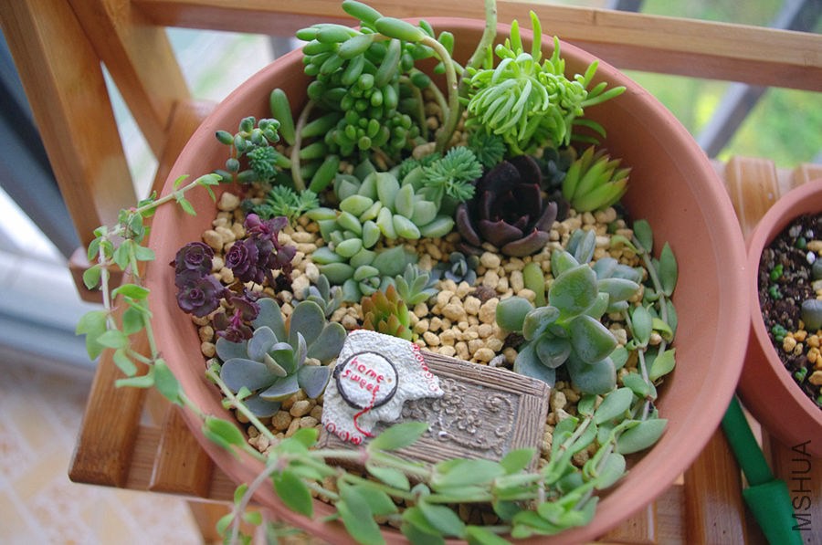 IMGP4060_����.jpg