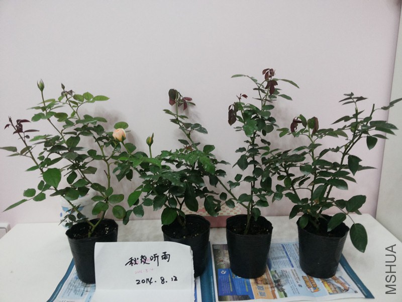 20140812_190729_����.jpg