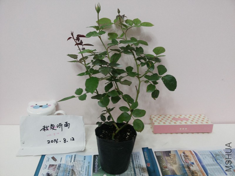 20140812_190831_����.jpg