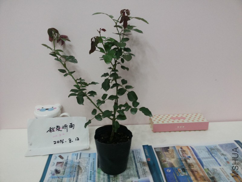 20140812_190856_����.jpg