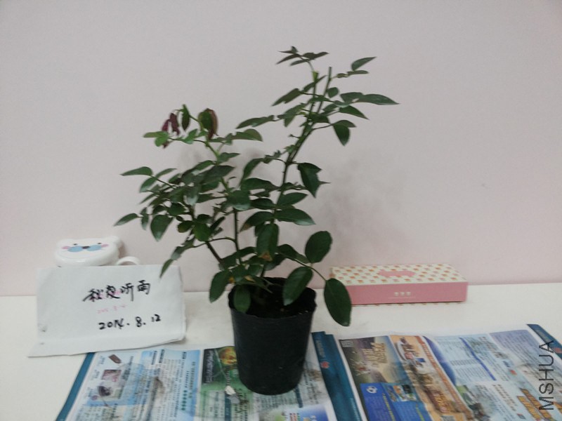 20140812_190913_����.jpg