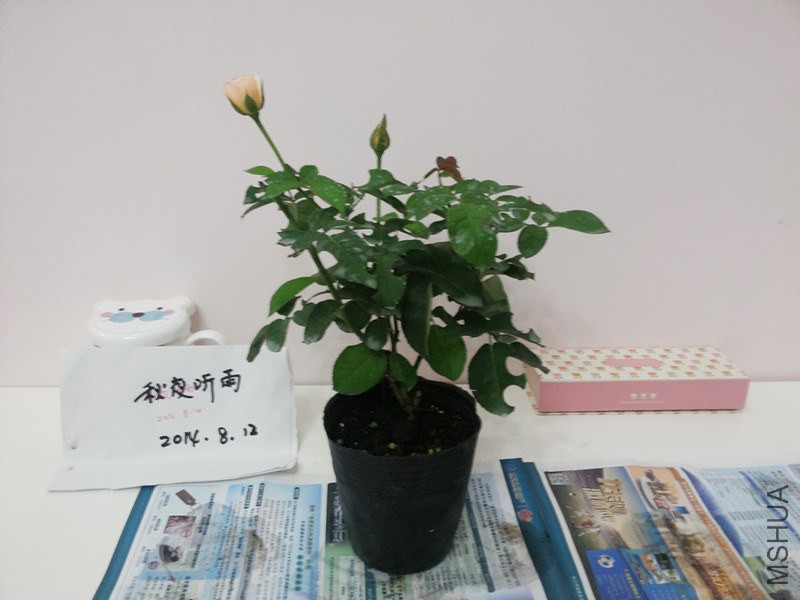20140812_190929_����.jpg