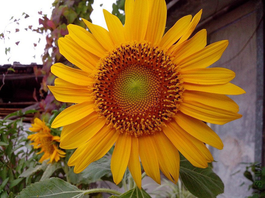 QQ��ͼ20140812210810.jpg