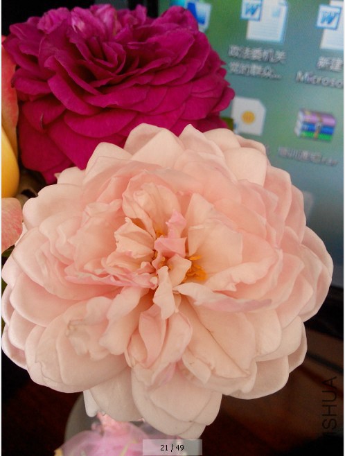 QQ��ͼ20140812211002.jpg
