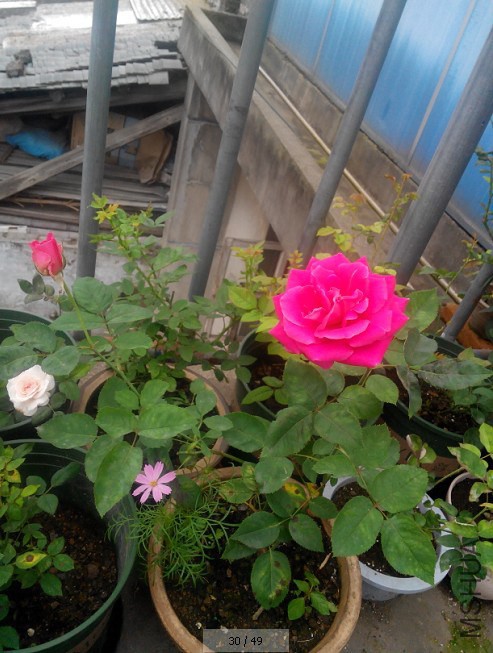 QQ��ͼ20140812211104.jpg