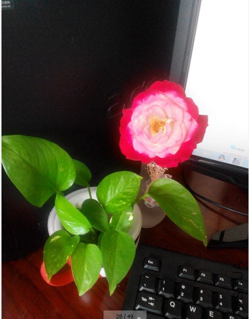 QQ��ͼ20140812211052.jpg