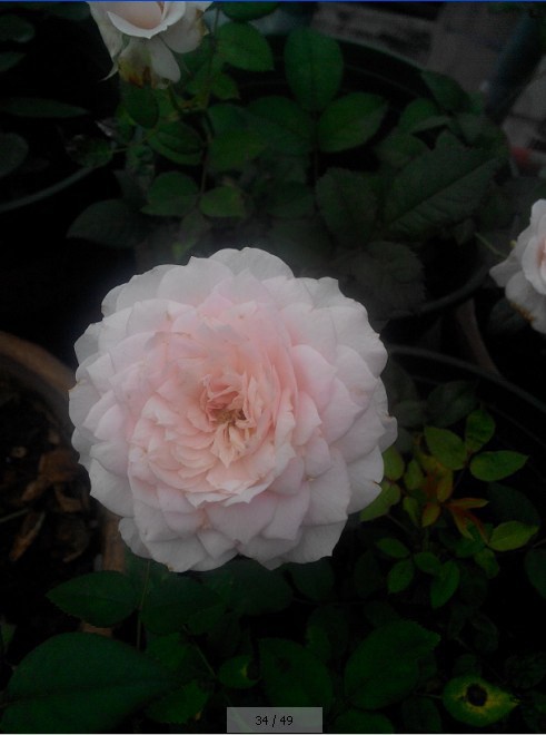 QQ��ͼ20140812211126.jpg