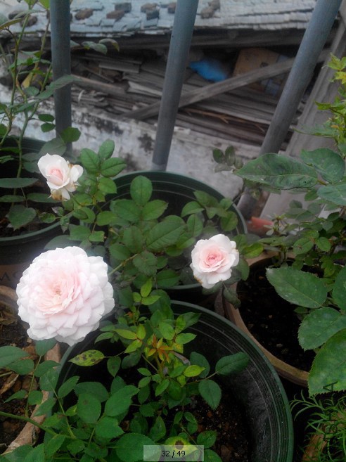 QQ��ͼ20140812211115.jpg