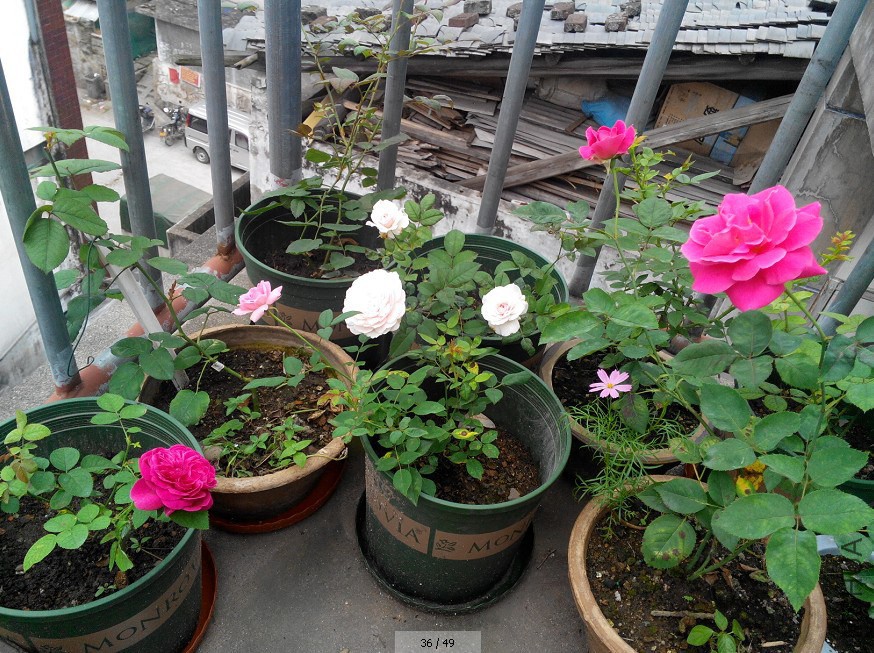 QQ��ͼ20140812211137.jpg