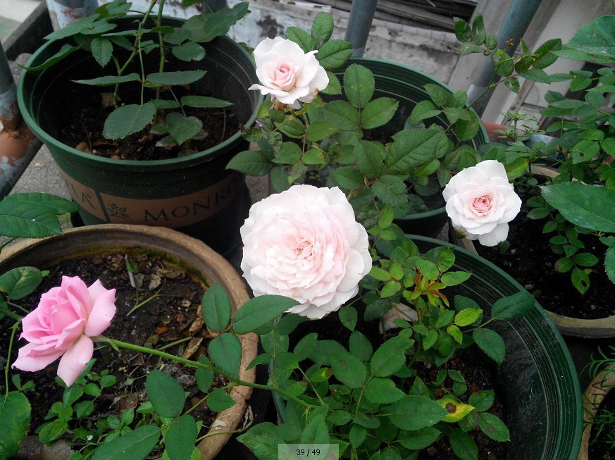QQ��ͼ20140812211153.jpg