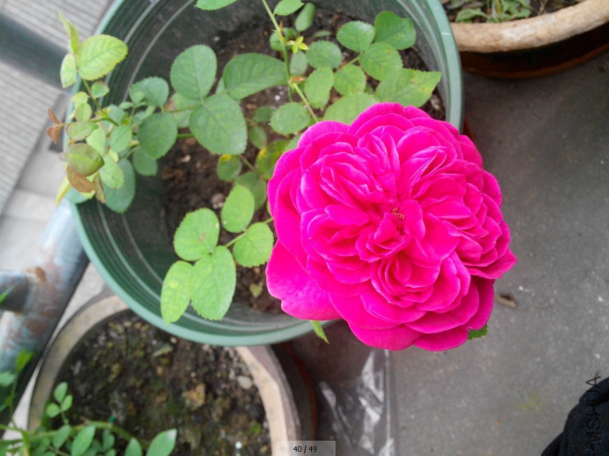 QQ��ͼ20140812211202.jpg