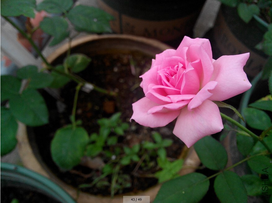 QQ��ͼ20140812211217.jpg