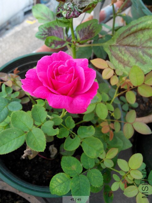 QQ��ͼ20140812211229.jpg