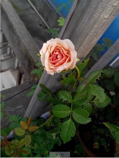 QQ��ͼ20140812211238.jpg
