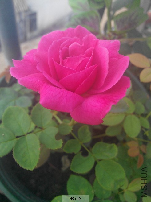 QQ��ͼ20140812211248.jpg