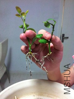 IMG_4623_����.jpg
