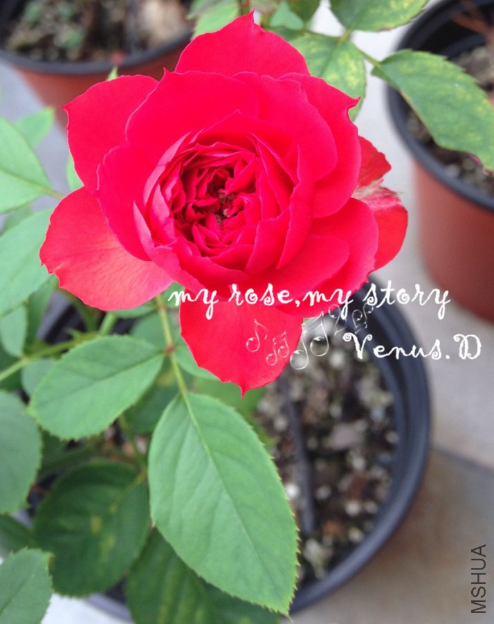 2014.8.10-�����.JPG