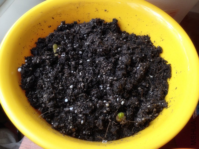 �ٺ� 001_����.jpg