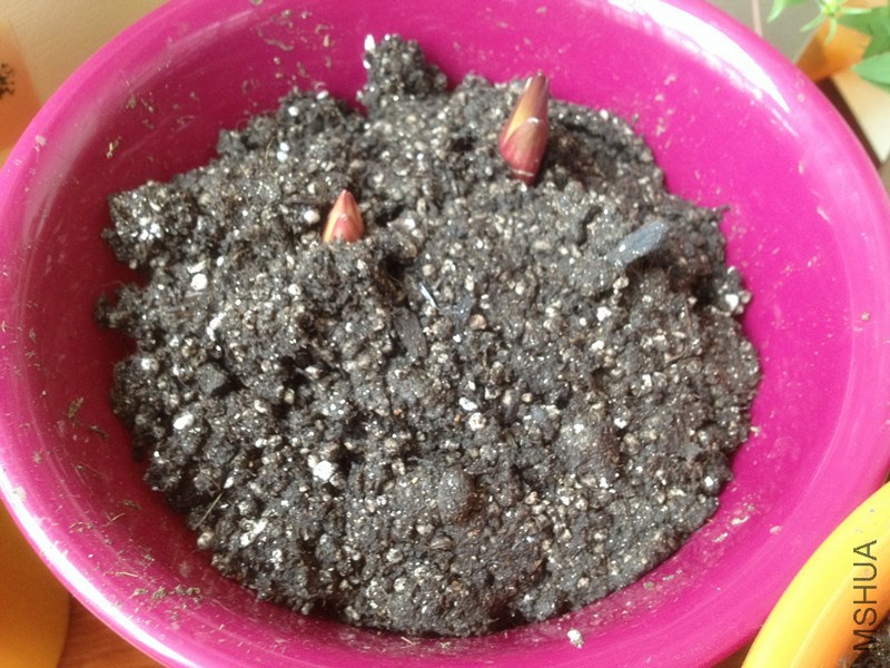 �ٺ� 002_����.jpg