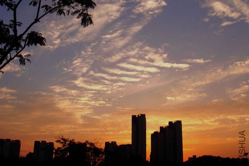 psb (76)_����.jpg