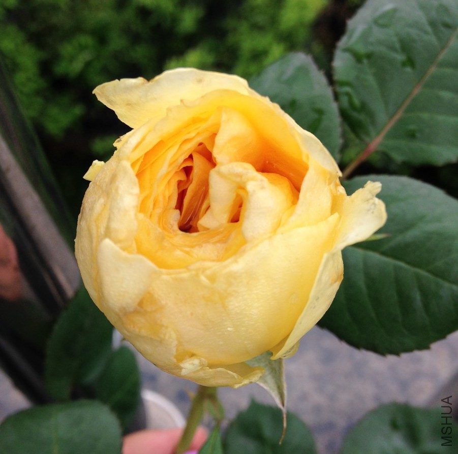 2014.4.26.JPG