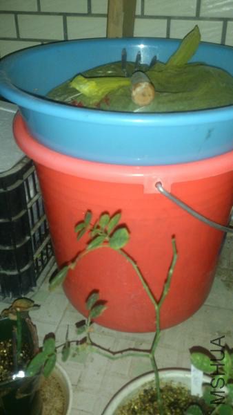 QQͼƬ20140813230745.jpg