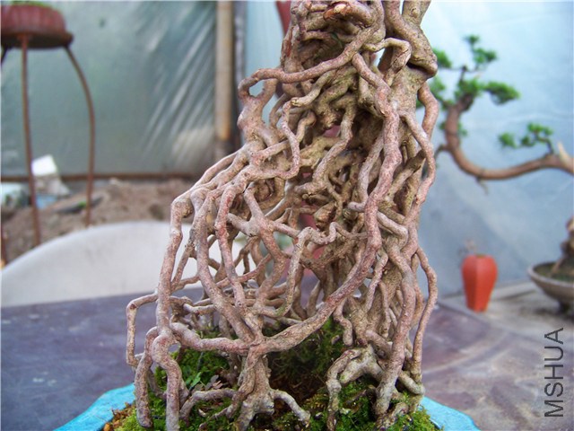 100_4603.JPG